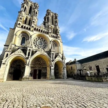 Jungle Avec Terrasse *