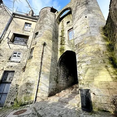 Jungle Avec Terrasse Apartment