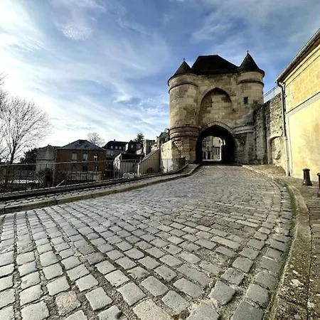 Jungle Avec Terrasse Laon