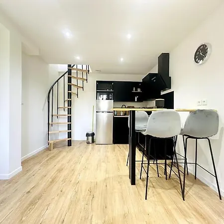 Jungle Avec Terrasse * Laon