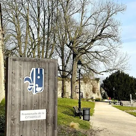 Jungle Avec Terrasse Laon